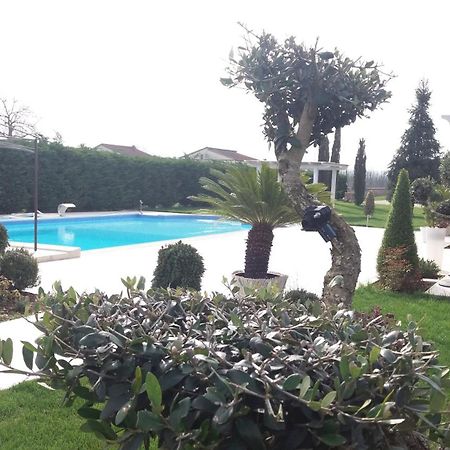 アナーニ Agriturismo Sant' Isidoroヴィラ エクステリア 写真